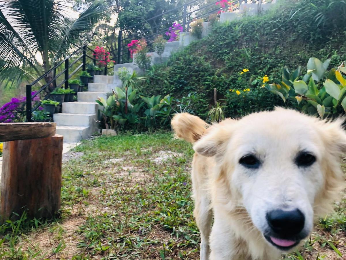 Baanhatsompaen Homestay Ranong Esterno foto