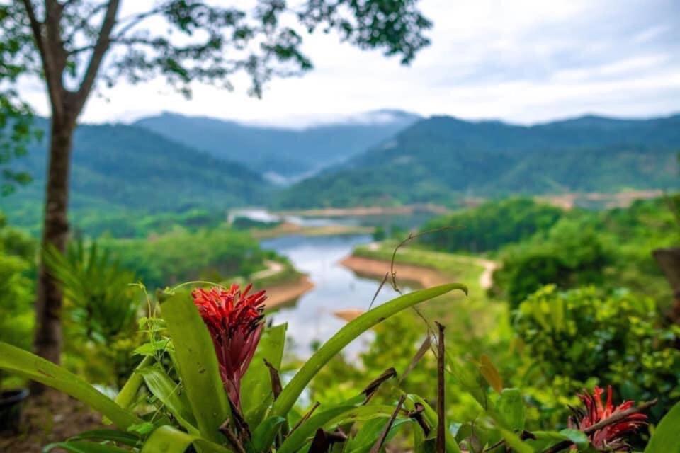 Baanhatsompaen Homestay Ranong Esterno foto